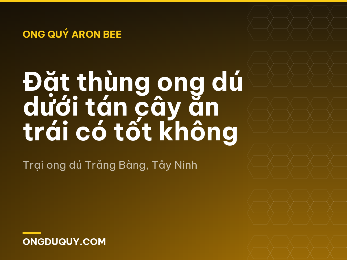 Đặt thùng ong dú dưới tán cây ăn trái có tốt không