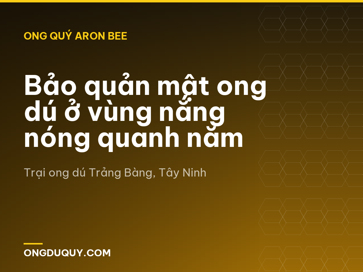 Bảo quản mật ong dú ở vùng nắng nóng quanh năm