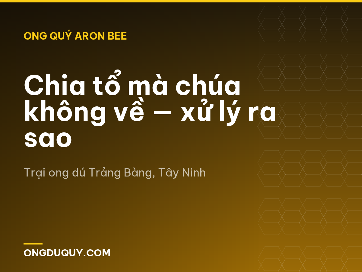 Chia tổ mà chúa không về — xử lý ra sao