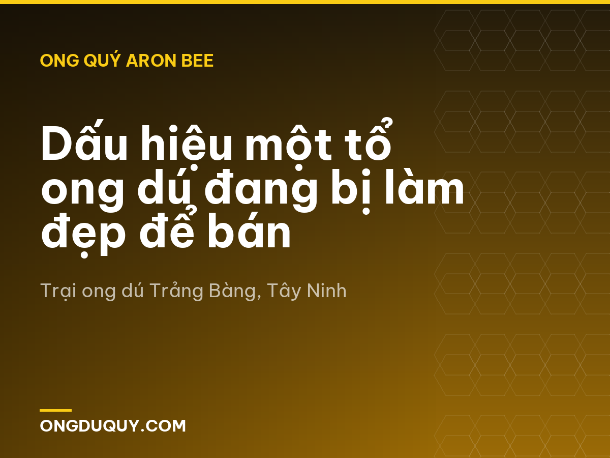 Dấu hiệu một tổ ong dú đang bị làm đẹp để bán