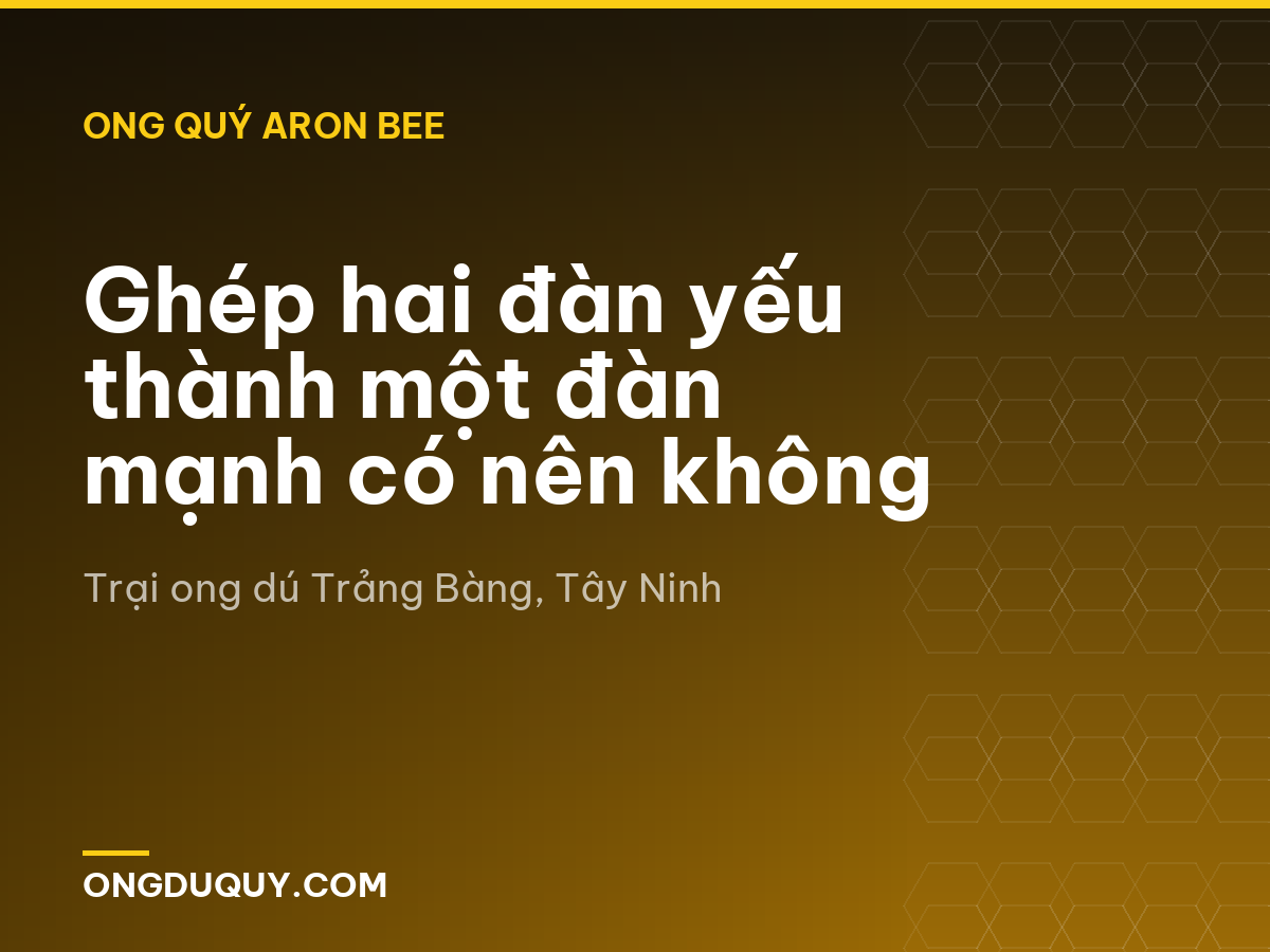 Ghép hai đàn yếu thành một đàn mạnh có nên không