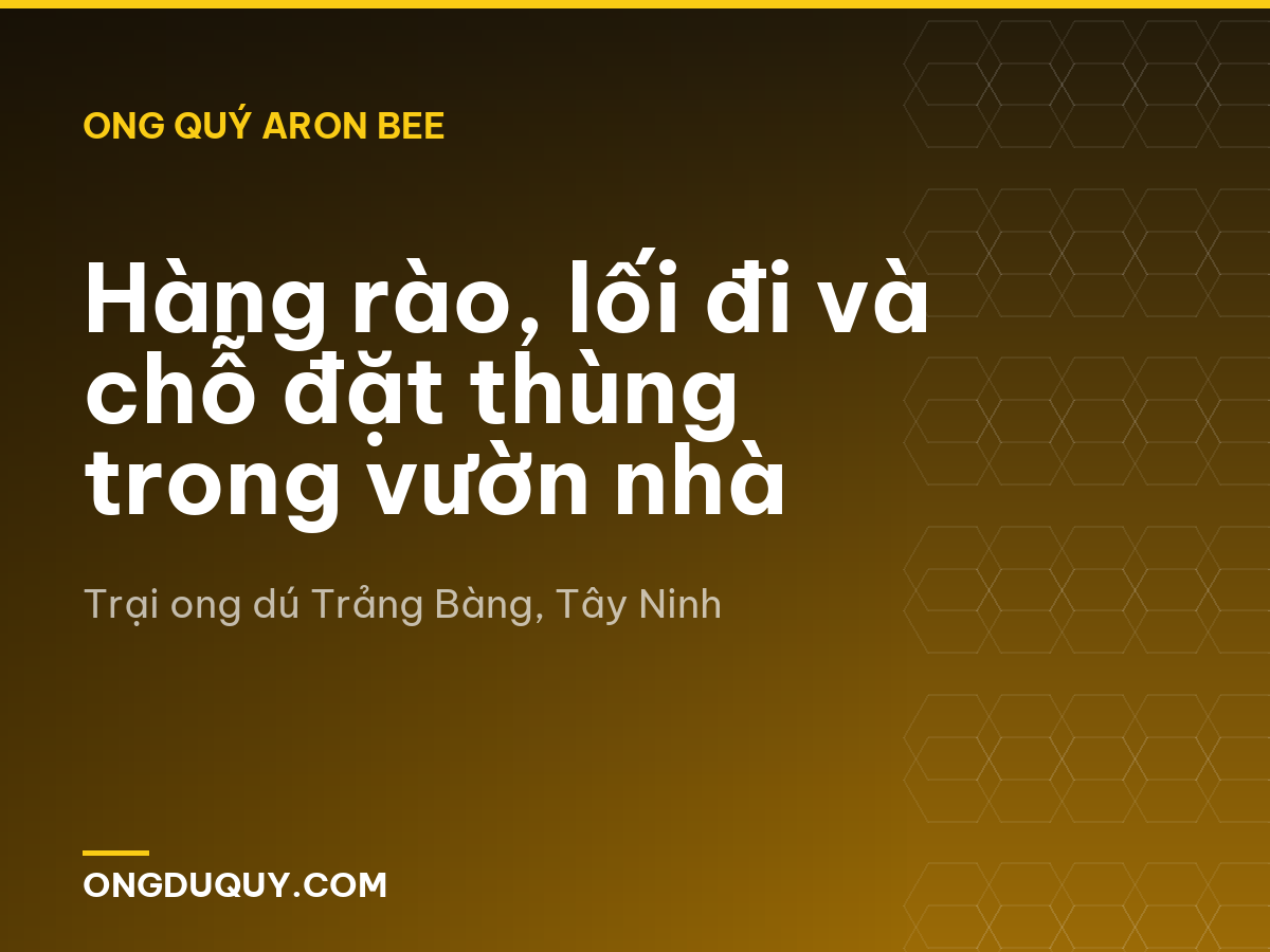 Hàng rào, lối đi và chỗ đặt thùng trong vườn nhà