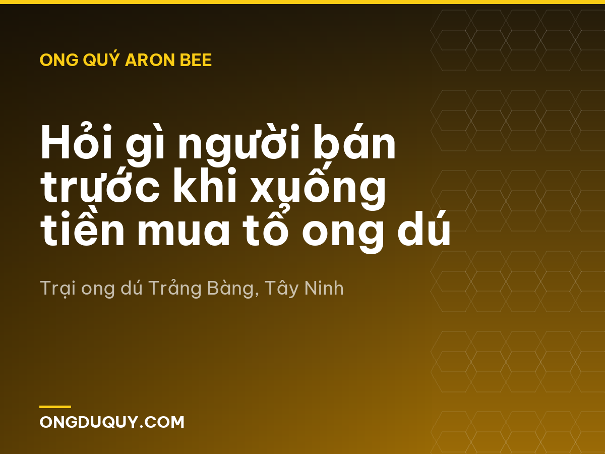 Hỏi gì người bán trước khi xuống tiền mua tổ ong dú
