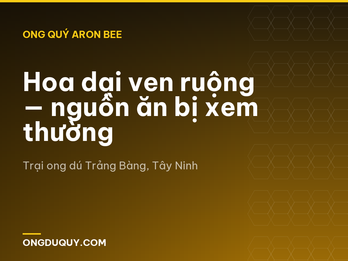 Hoa dại ven ruộng — nguồn ăn bị xem thường