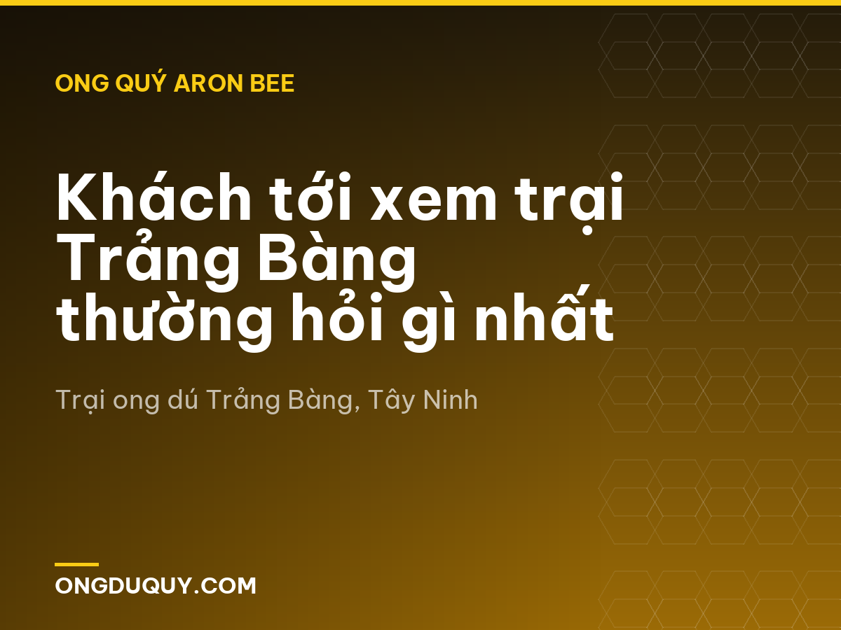 Khách tới xem trại Trảng Bàng thường hỏi gì nhất