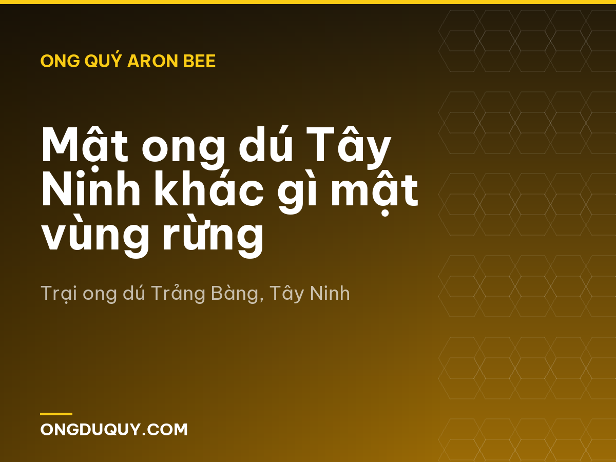 Mật ong dú Tây Ninh khác gì mật vùng rừng