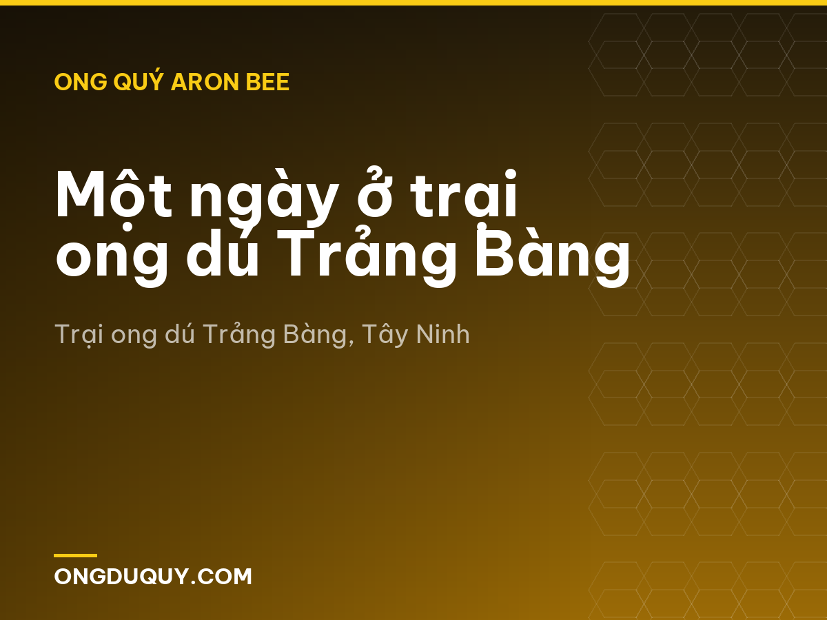 Một ngày ở trại ong dú Trảng Bàng