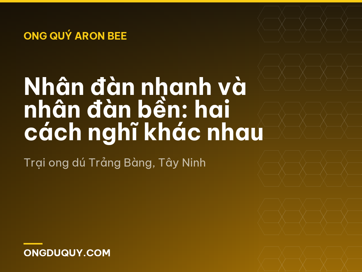 Nhân đàn nhanh và nhân đàn bền: hai cách nghĩ khác nhau