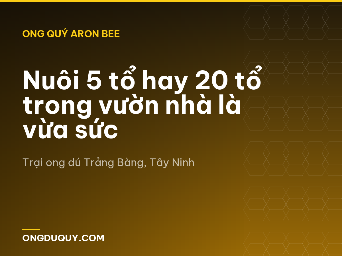 Nuôi 5 tổ hay 20 tổ trong vườn nhà là vừa sức