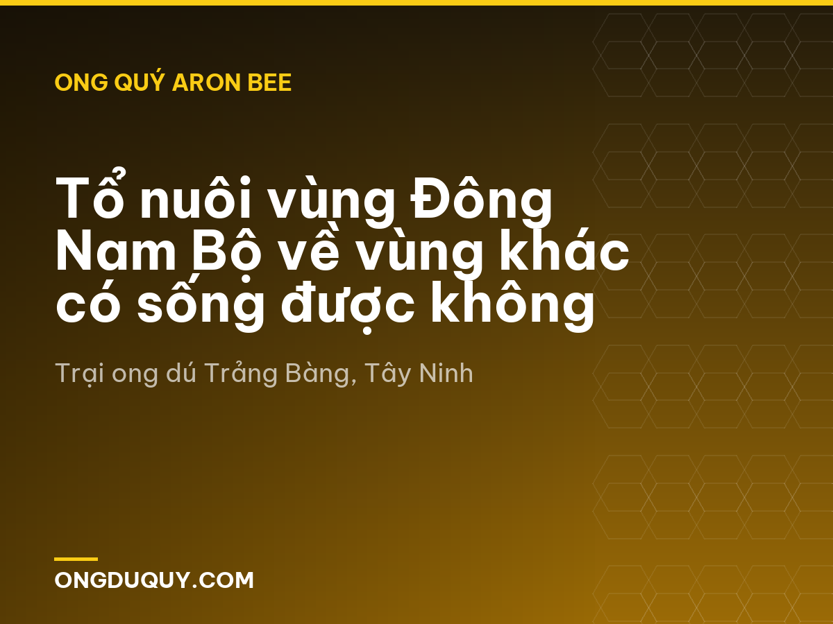 Tổ nuôi vùng Đông Nam Bộ về vùng khác có sống được không