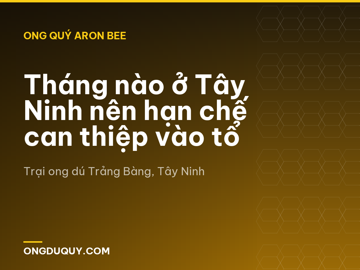 Tháng nào ở Tây Ninh nên hạn chế can thiệp vào tổ