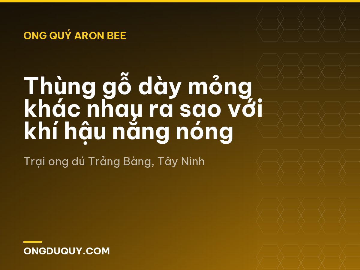 Thùng gỗ dày mỏng khác nhau ra sao với khí hậu nắng nóng