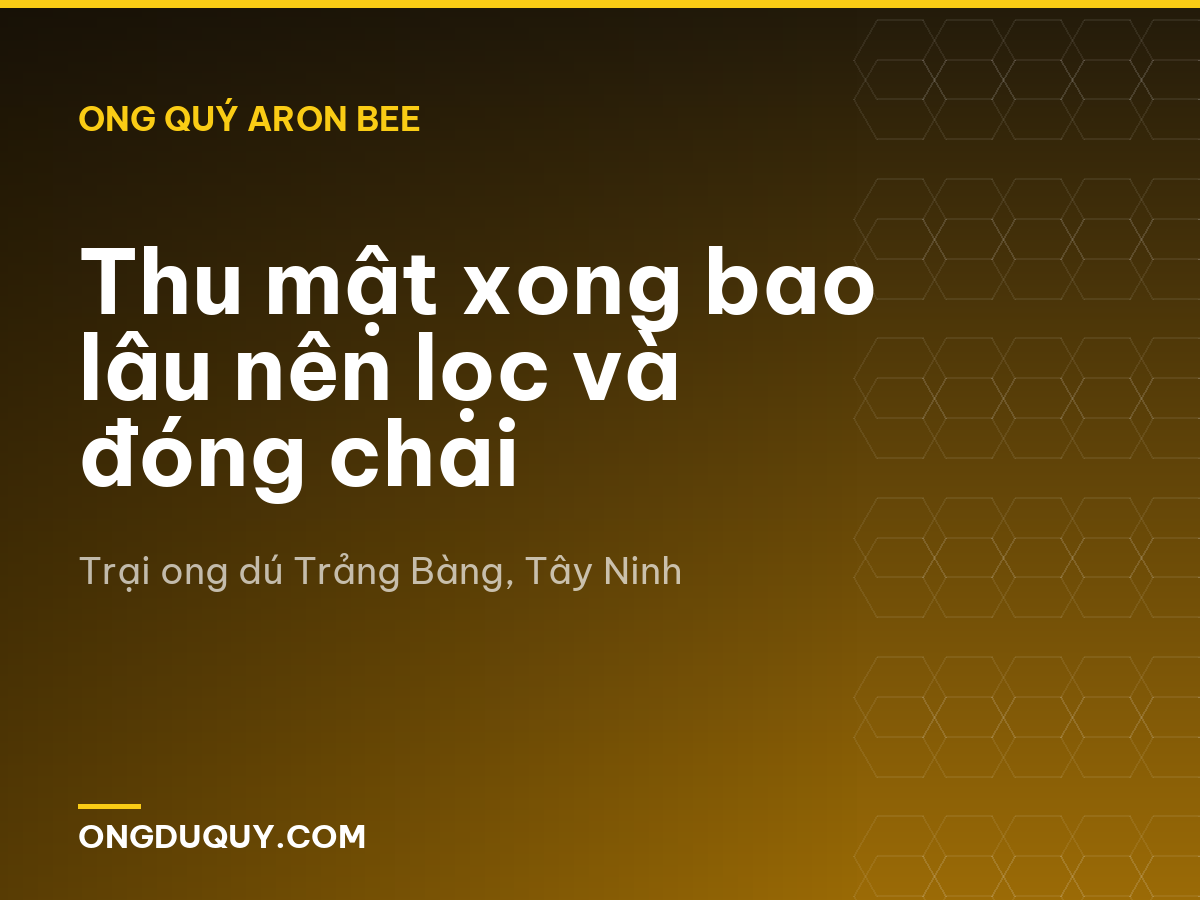 Thu mật xong bao lâu nên lọc và đóng chai