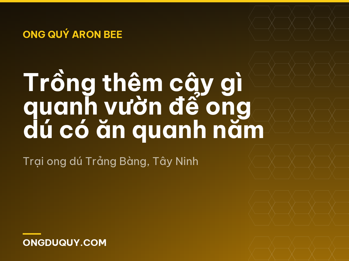 Trồng thêm cây gì quanh vườn để ong dú có ăn quanh năm