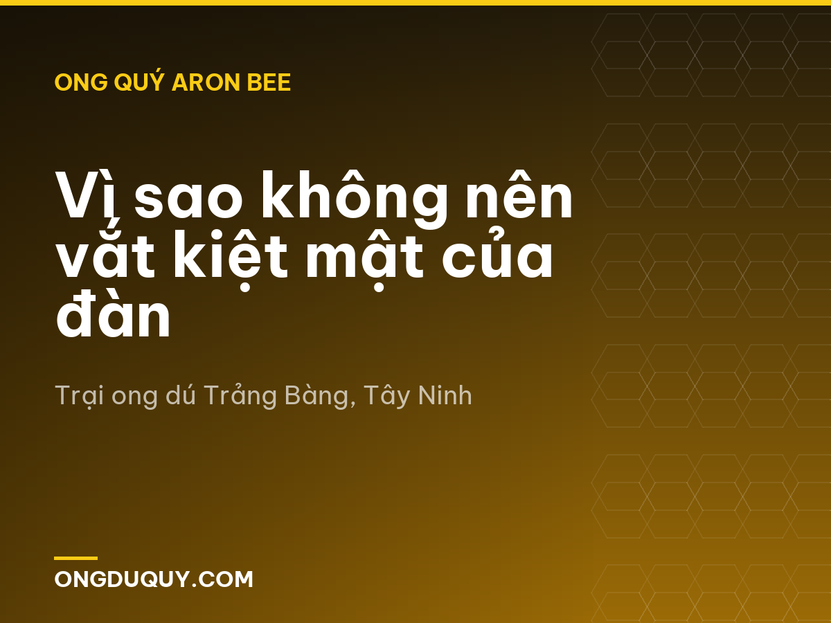 Vì sao không nên vắt kiệt mật của đàn