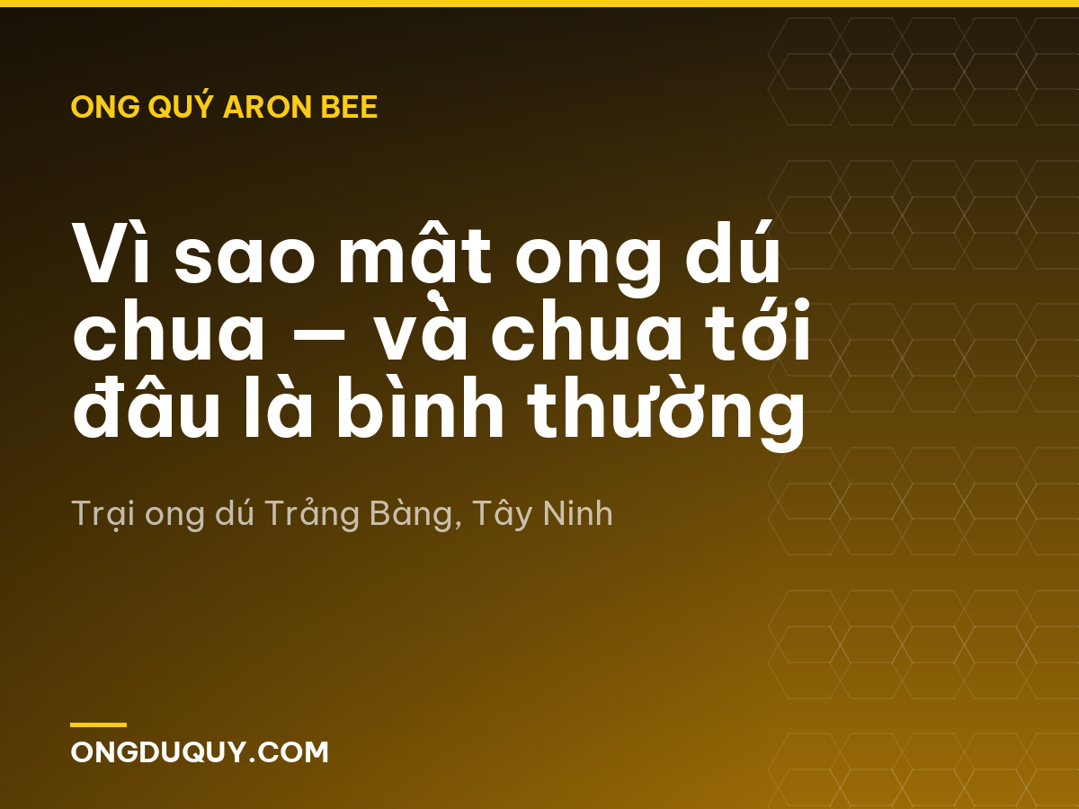 Vì sao mật ong dú chua — và chua tới đâu là bình thường