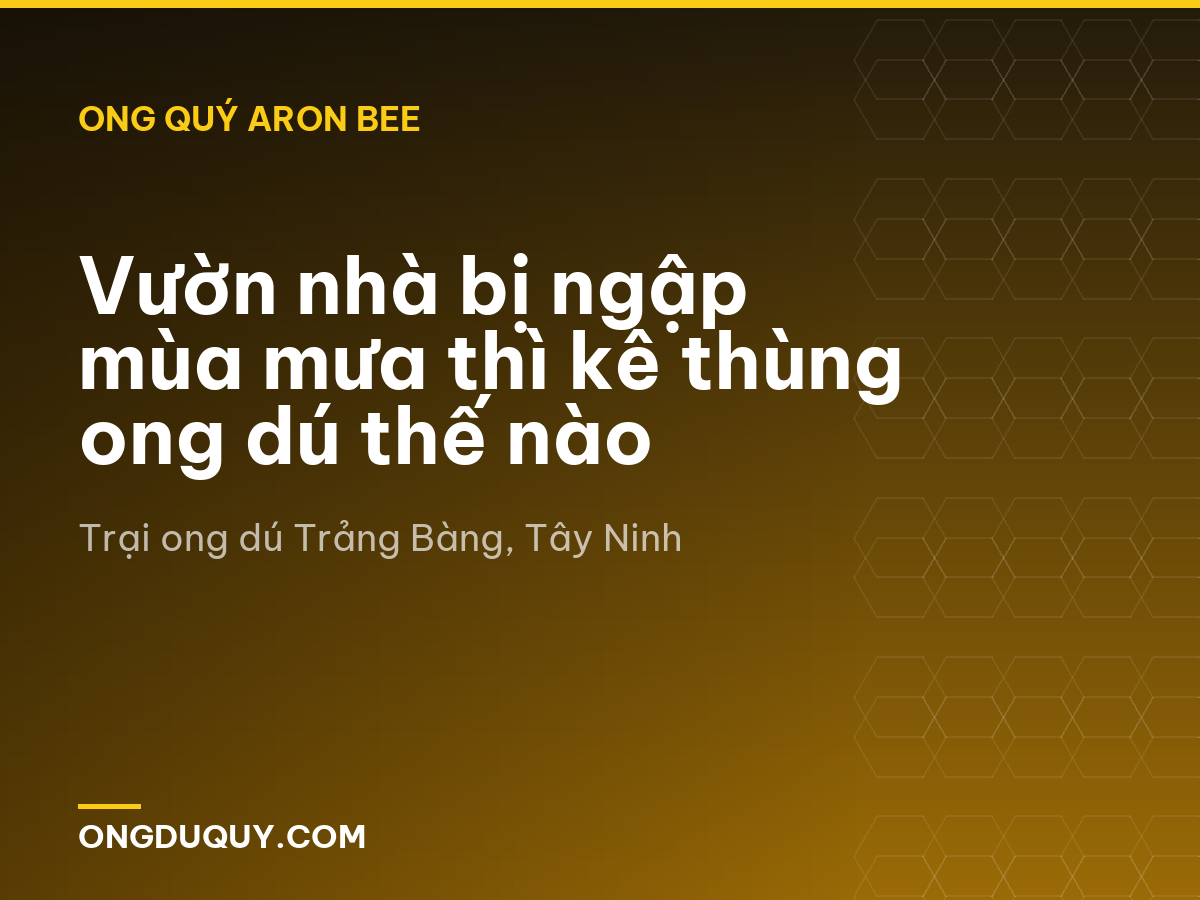 Vườn nhà bị ngập mùa mưa thì kê thùng ong dú thế nào