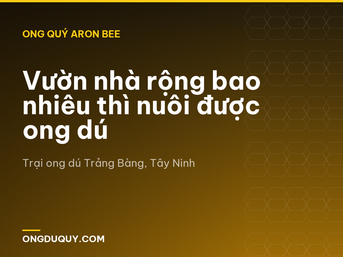 Vườn nhà rộng bao nhiêu thì nuôi được ong dú