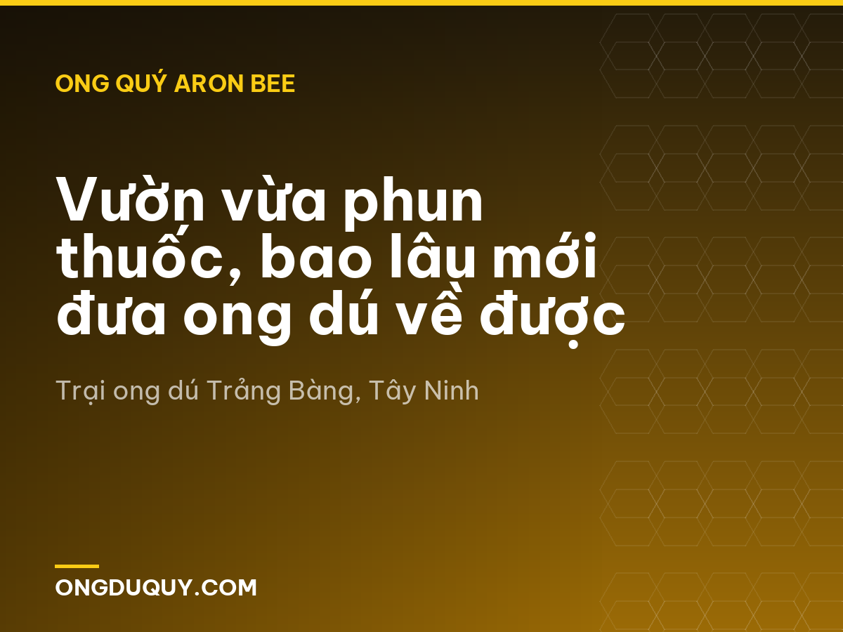 Vườn vừa phun thuốc, bao lâu mới đưa ong dú về được