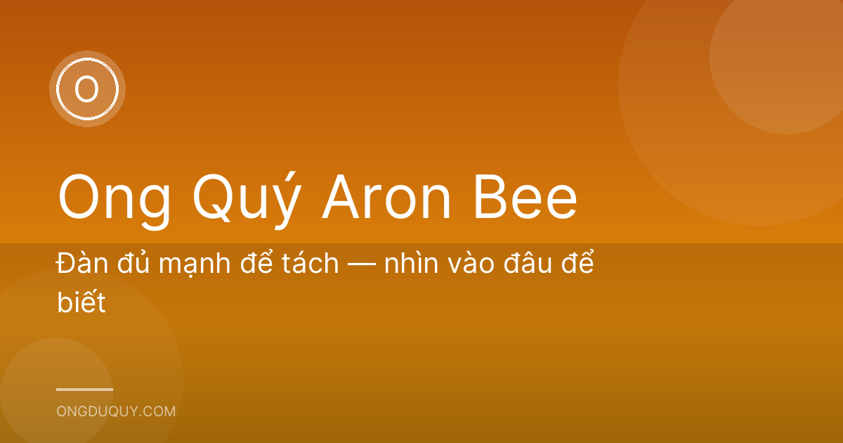 Đàn đủ mạnh để tách — nhìn vào đâu để biết