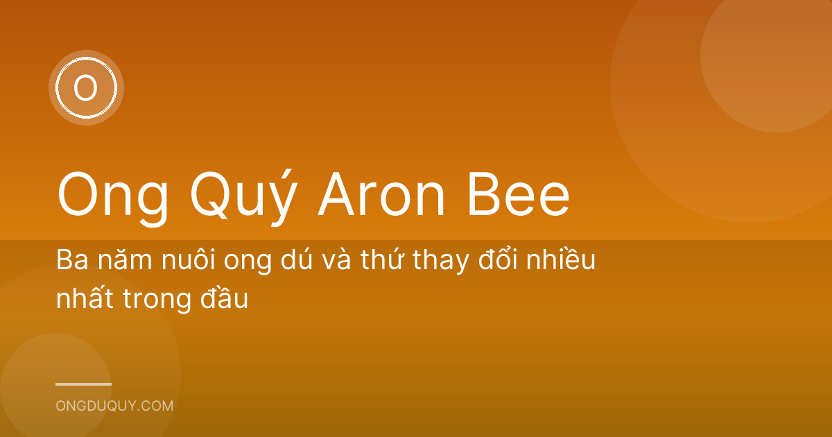 Ba năm nuôi ong dú và thứ thay đổi nhiều nhất trong đầu