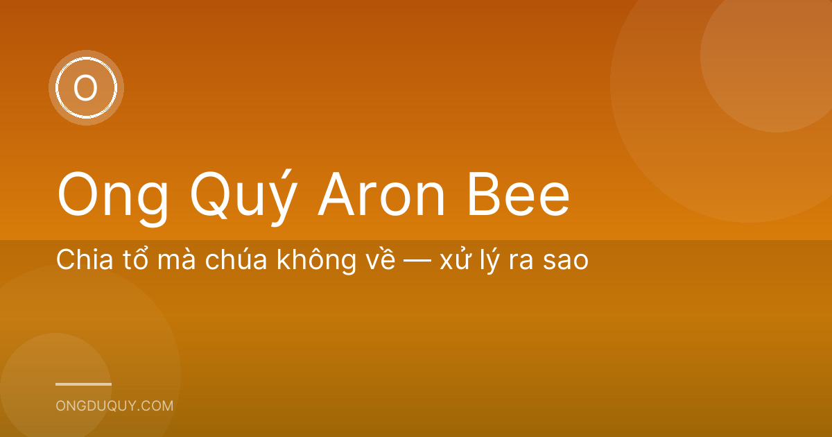 Chia tổ mà chúa không về — xử lý ra sao