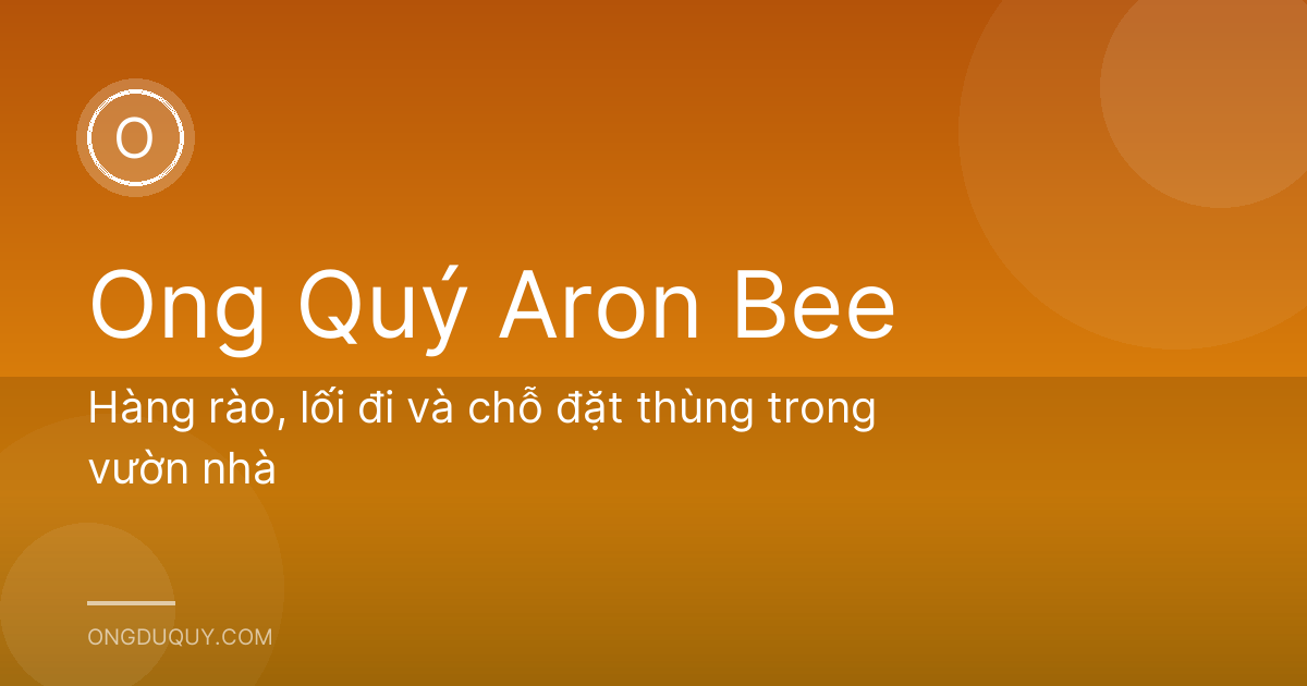 Hàng rào, lối đi và chỗ đặt thùng trong vườn nhà