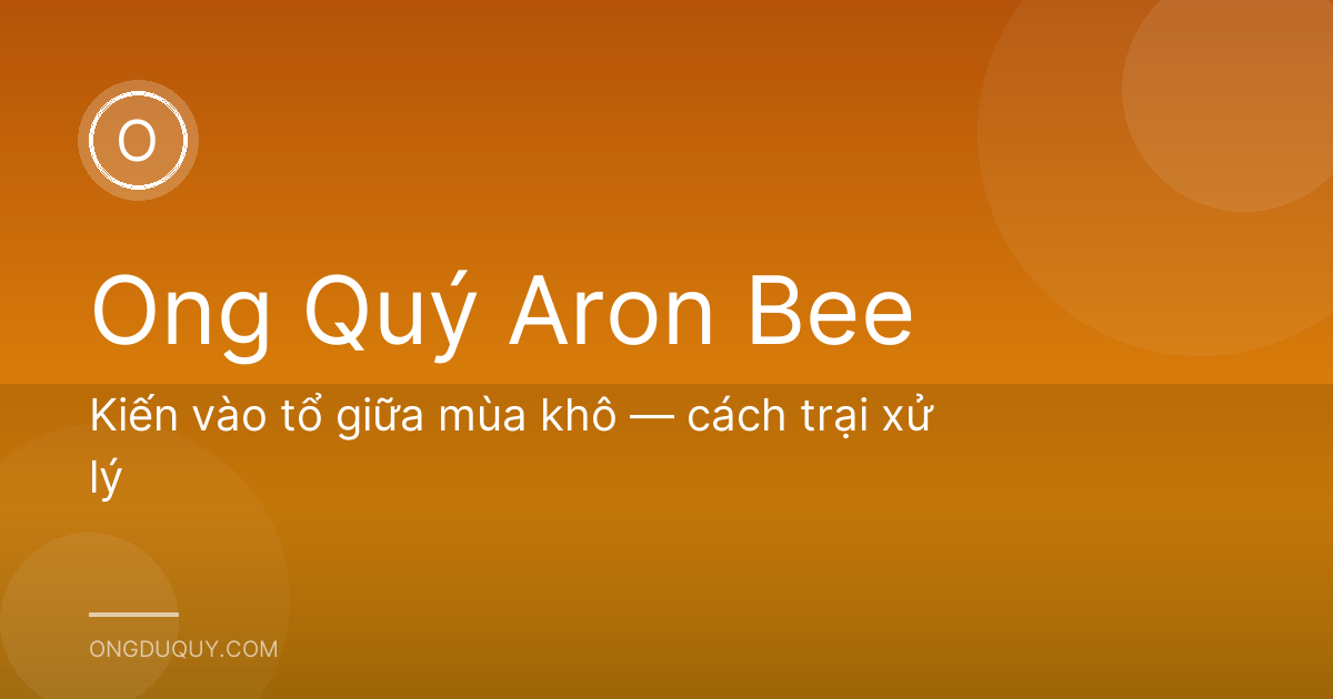 Kiến vào tổ giữa mùa khô — cách trại xử lý