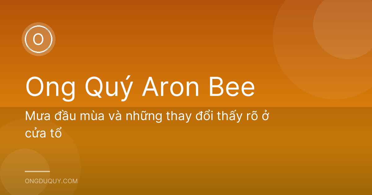 Mưa đầu mùa và những thay đổi thấy rõ ở cửa tổ