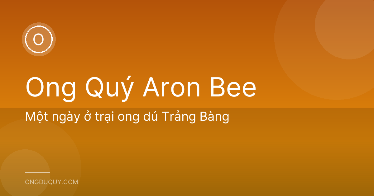 Một ngày ở trại ong dú Trảng Bàng