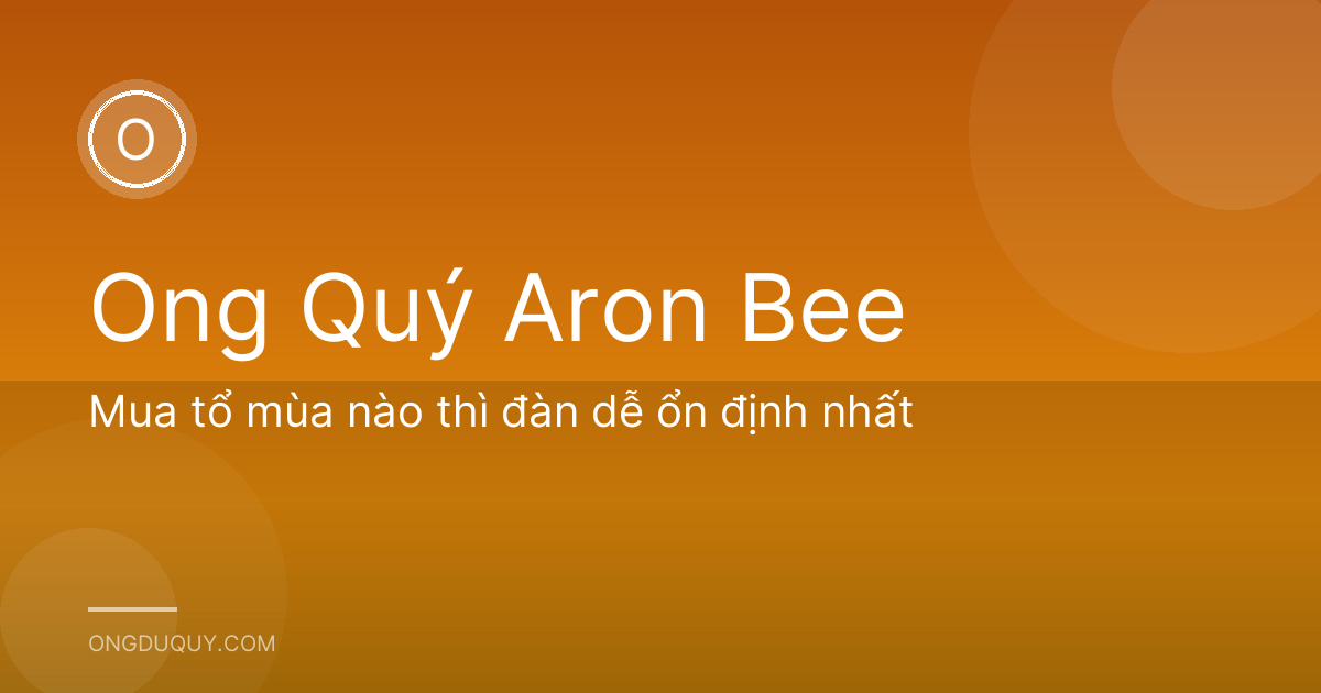 Mua tổ mùa nào thì đàn dễ ổn định nhất