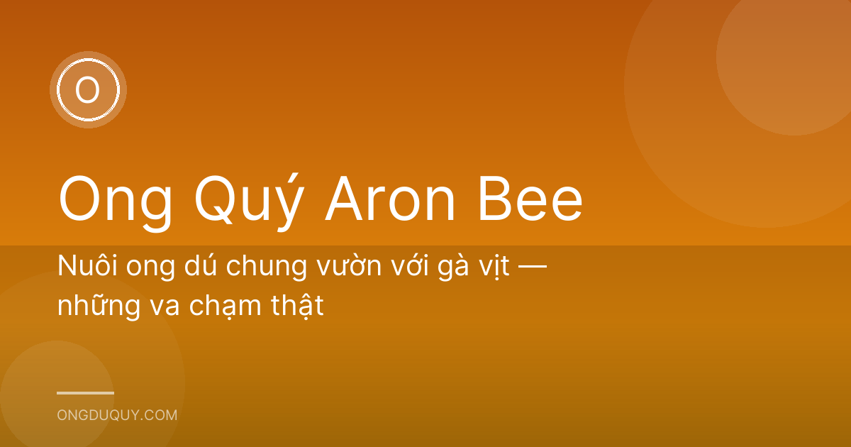 Nuôi ong dú chung vườn với gà vịt — những va chạm thật