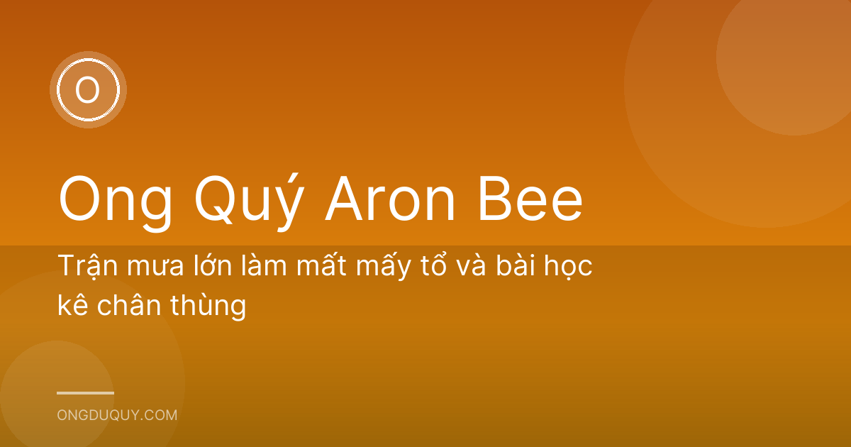 Trận mưa lớn làm mất mấy tổ và bài học kê chân thùng