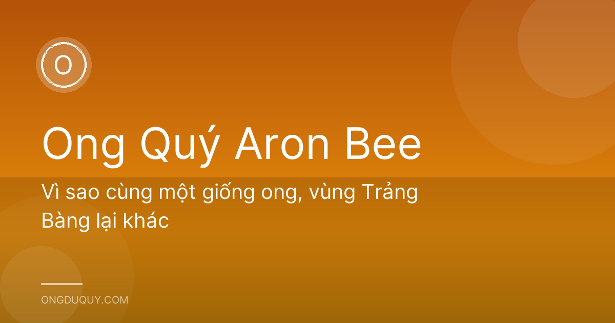 Vì sao cùng một giống ong, vùng Trảng Bàng lại khác